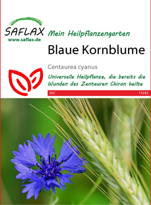 Blaue Kornblume, Heilpflanzen Samen [Centaurea cyanus]