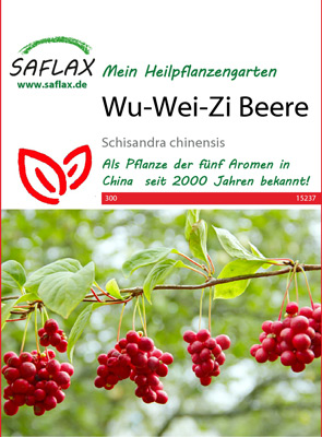 Wu Wie Zi Beere, Heilpflanzen Samen [Schisandra chinensis]
