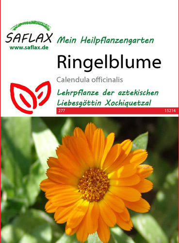 Ringelblume, Heilpflanzen Samen [Calendula officinalis]
