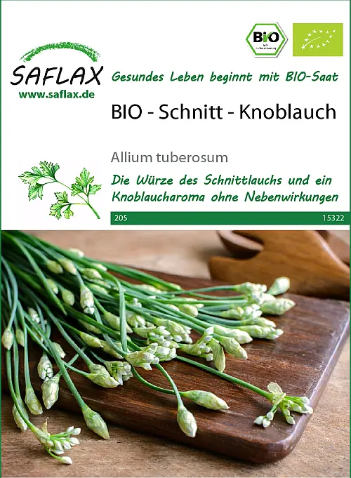 BIO - Schnitt - Knoblauch (Allium tuberosum) DE-ÖKO-006