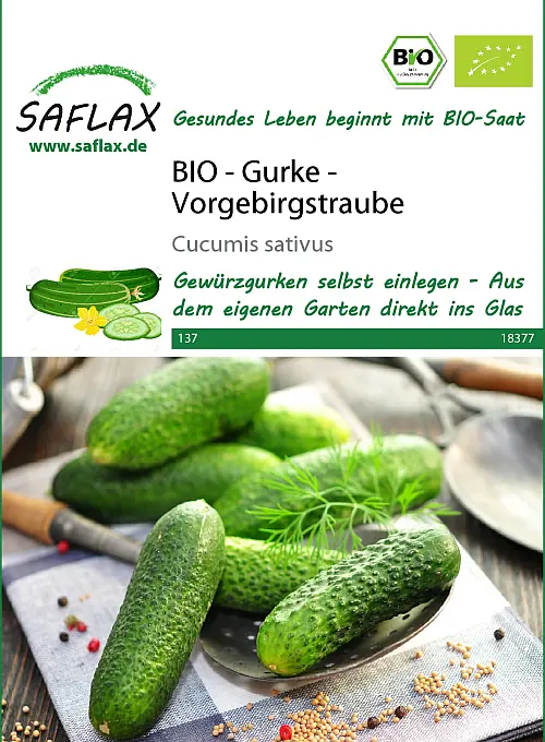 BIO - Gurke - Vorgebirgstraube (Cucumis sativus) DE-ÖKO-006