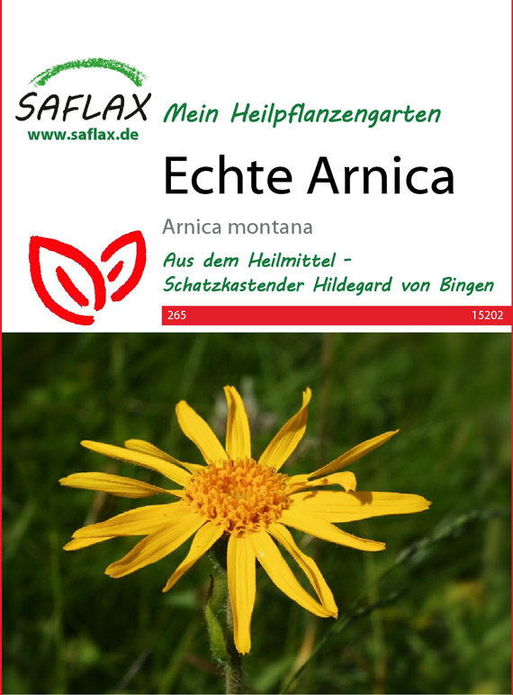 Echte Arnica, Heilpflanzen Samen [Arnica montana]
