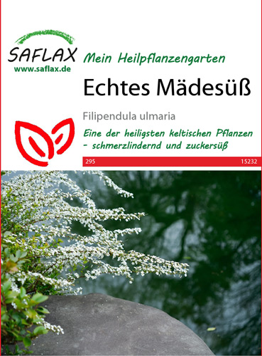 Mädesüß, Heilpflanzen Samen (Filipendula ulmaria)