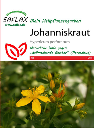 Johanniskraut, Heilpflanzen Samen (Hypericum perforatum)