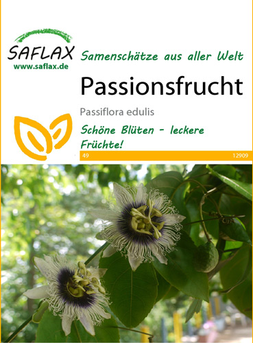 Passionsblume, Heilpflanzen Samen (Passiflora incarnata)