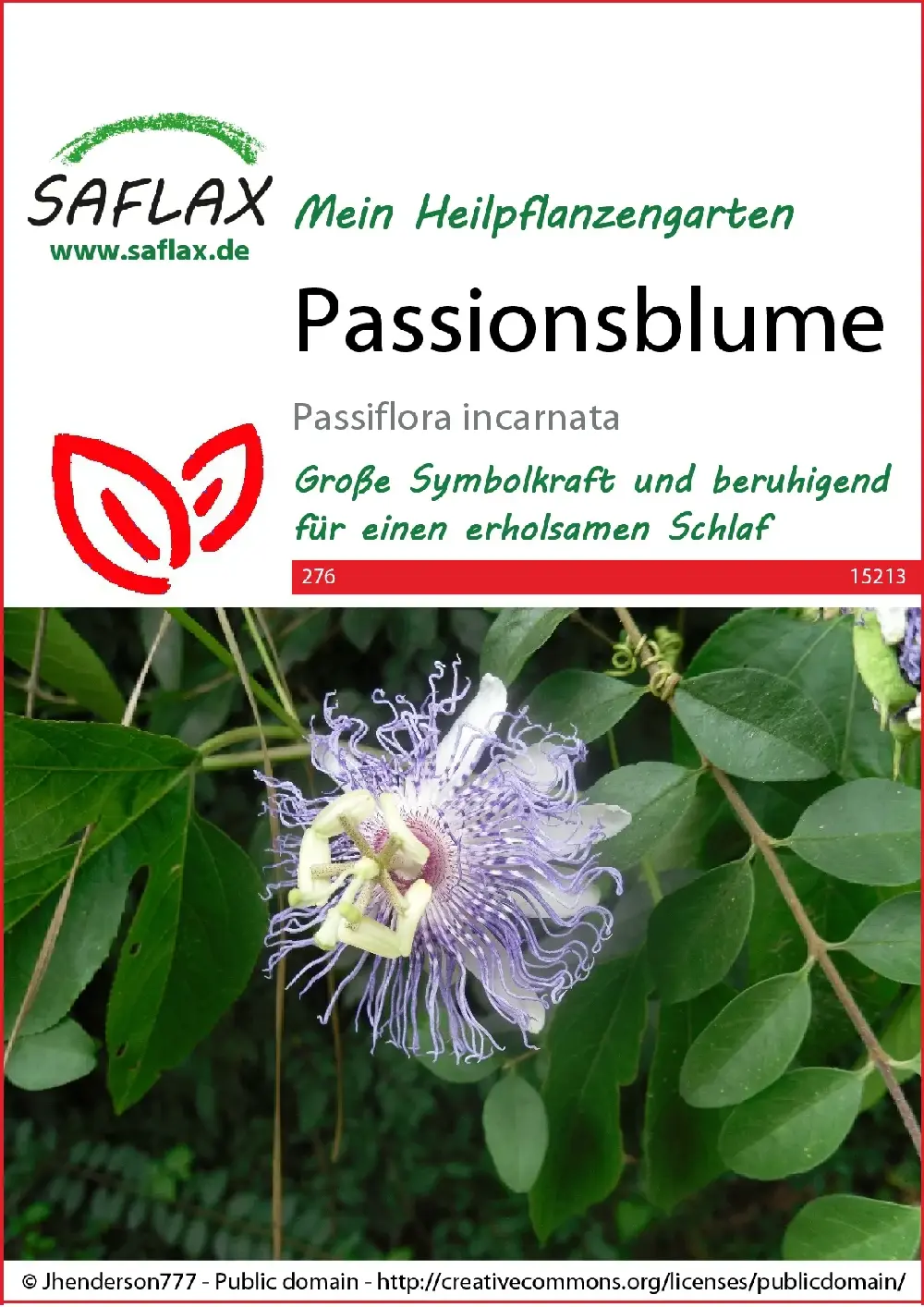 Passionsblume, Heilpflanzen Samen (Passiflora incarnata)