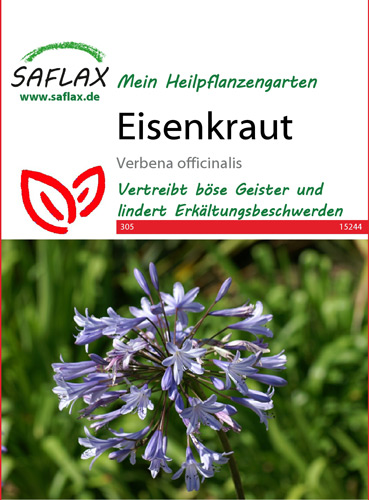Eisenkraut, Heilpflanzen Samen (Verbena officinalis)